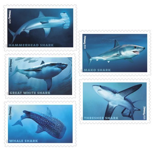 2017 Shark Forever®Stamp - Forever Stamps