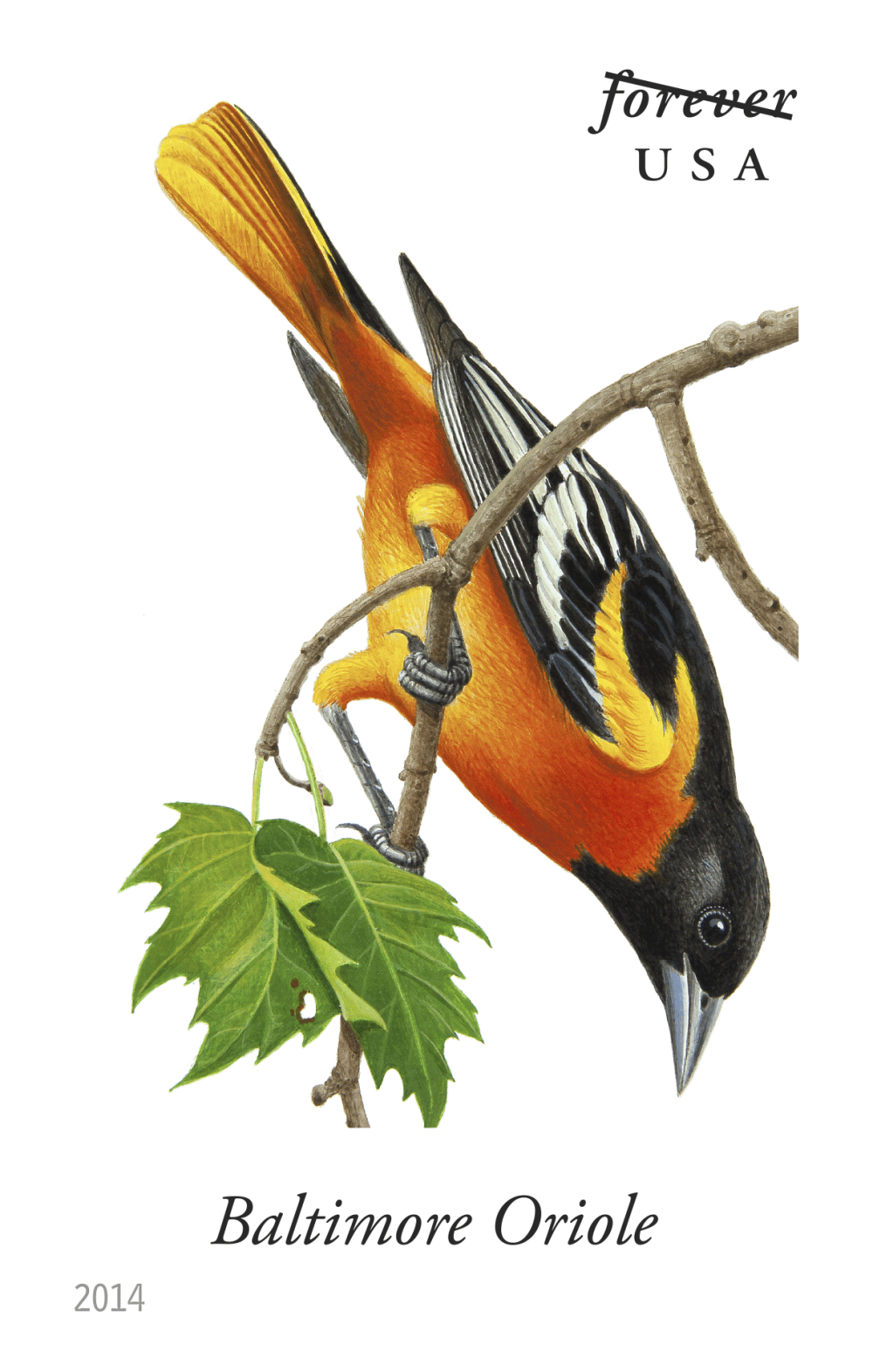 2014 Song Birds Stamps - Forever Stamps