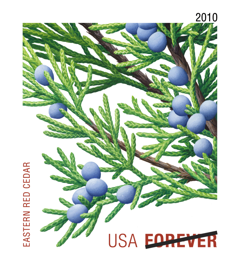 2010 Evergreens Stamps - Forever Stamps