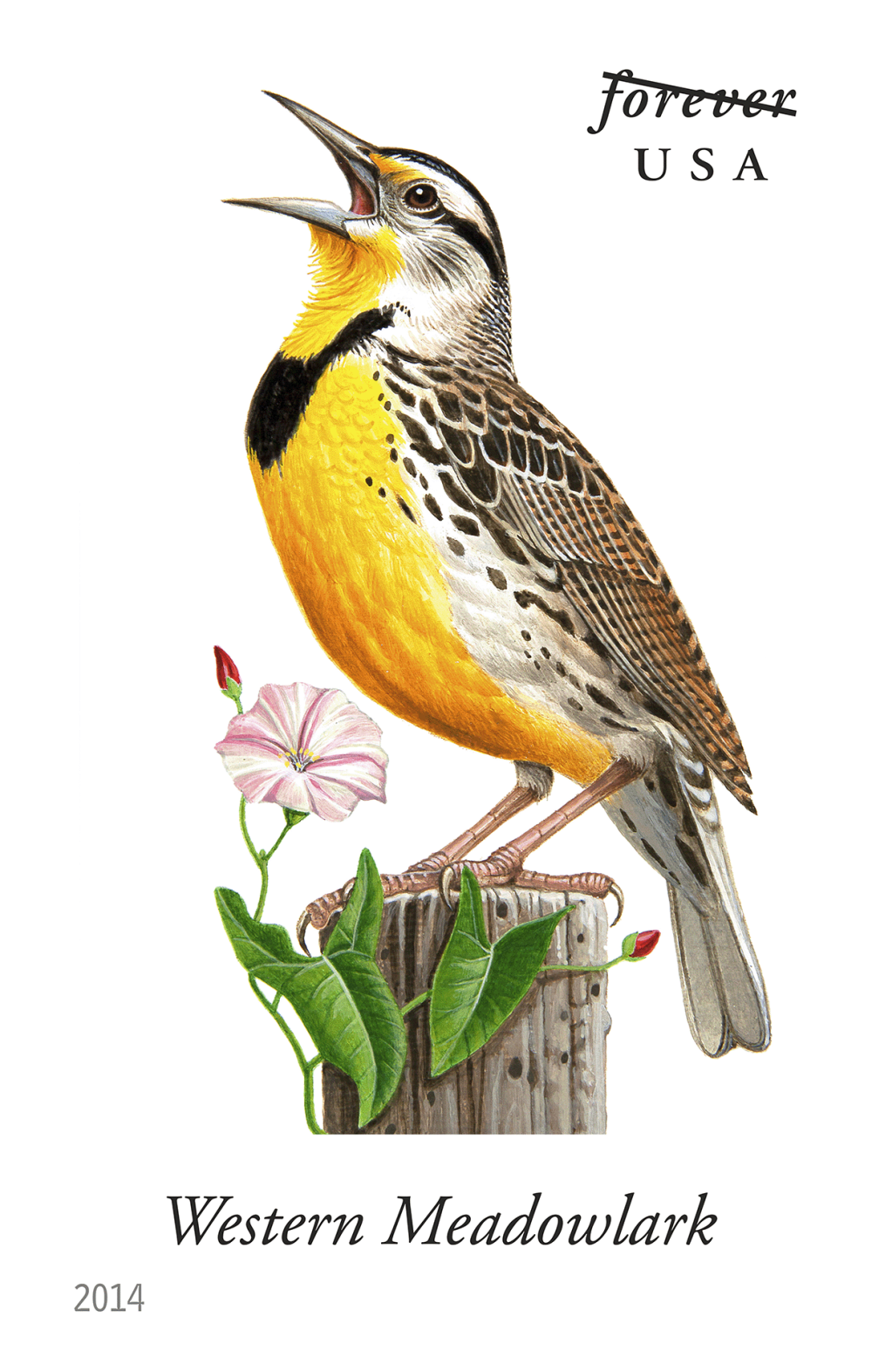 2014 Song Birds Stamps - Forever Stamps
