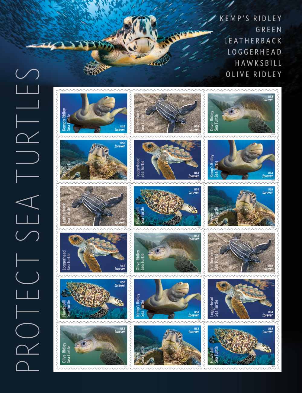 2024 Protect Sea Turtles Stamps - Forever Stamps