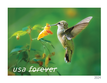 2024 Garden Delights Stamps - Forever Stamps