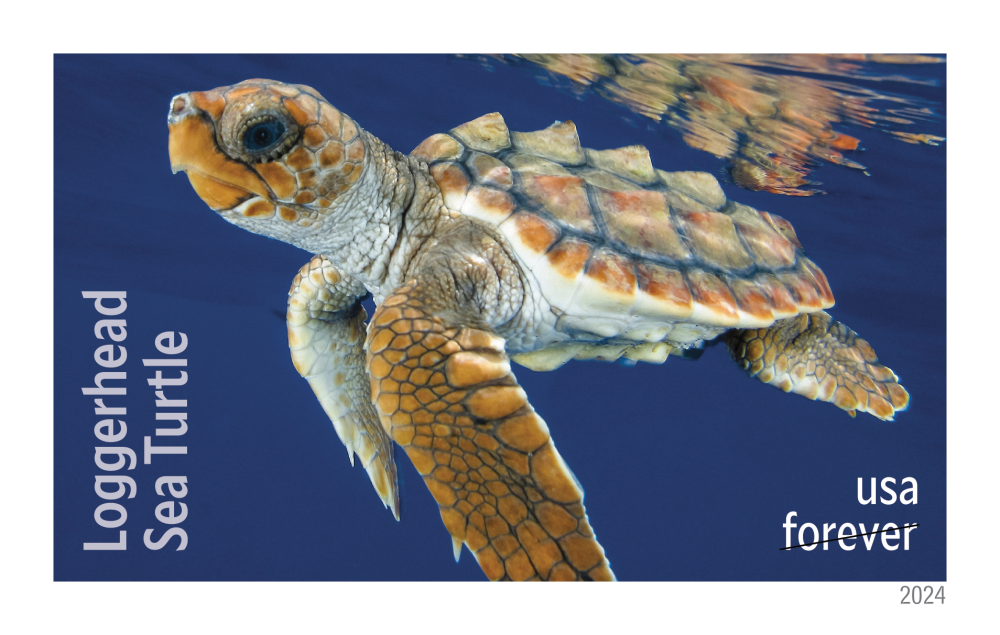 2024 Protect Sea Turtles Stamps - Forever Stamps