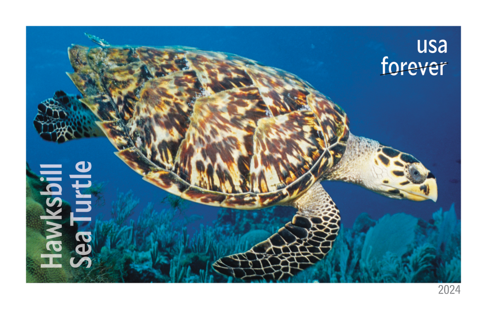 2024 Protect Sea Turtles Stamps - Forever Stamps