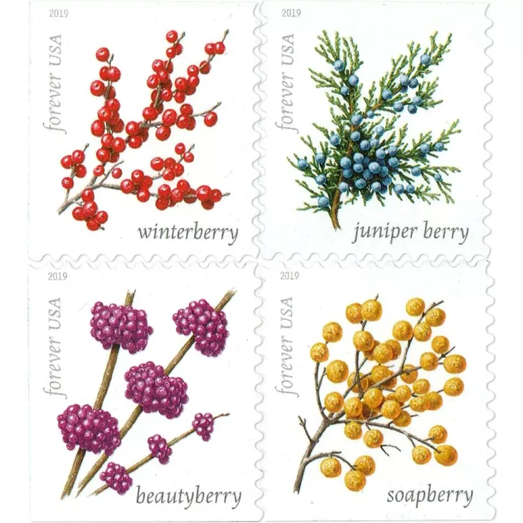 2019 Winter Berries Forever Stamps - Forever Stamps