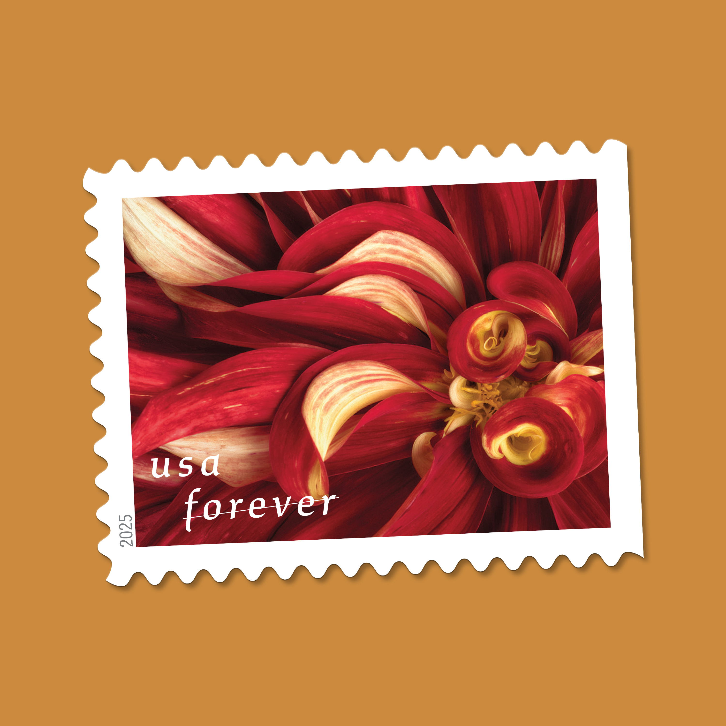 2025 Forever Stamps Dahlias Stamps - Forever Stamps