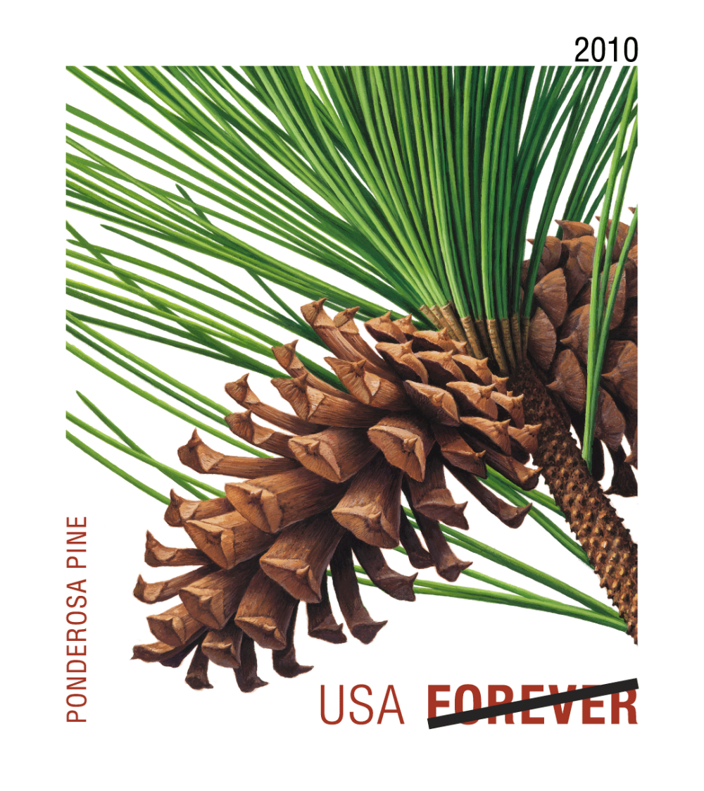 2010 Evergreens Stamps - Forever Stamps