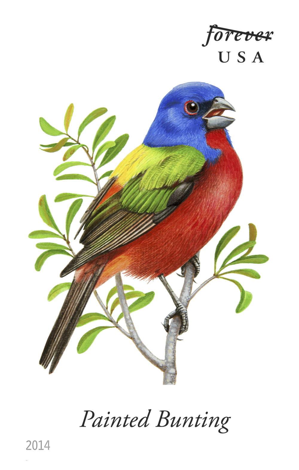 2014 Song Birds Stamps - Forever Stamps