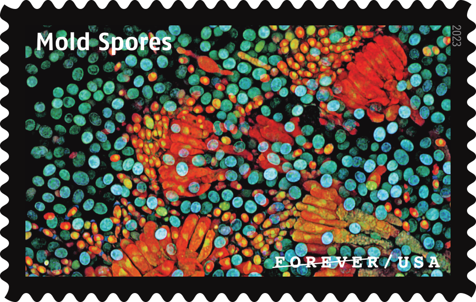 2023 Life Magnified Stamps - Forever Stamps