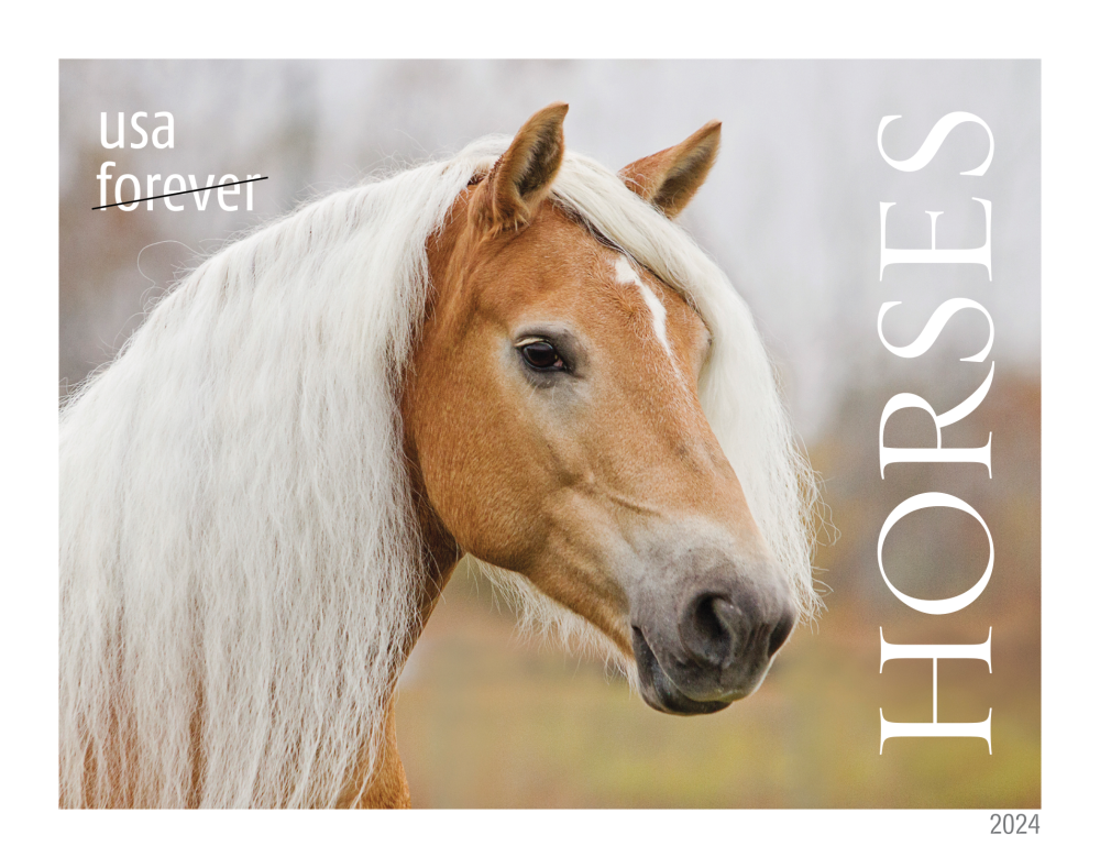 2024 Horses Stamps - Forever Stamps
