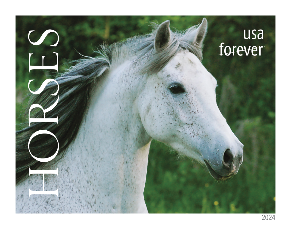 2024 Horses Stamps - Forever Stamps