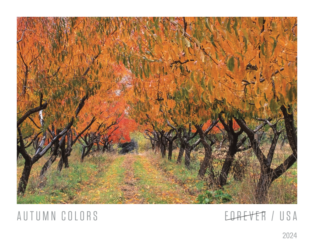 2024 Autumn Colors Stamps - Forever Stamps